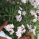 ���� �����, �����������, 66 ��� - ��������� 15 ��� 2016 � ������ �������-16�.�