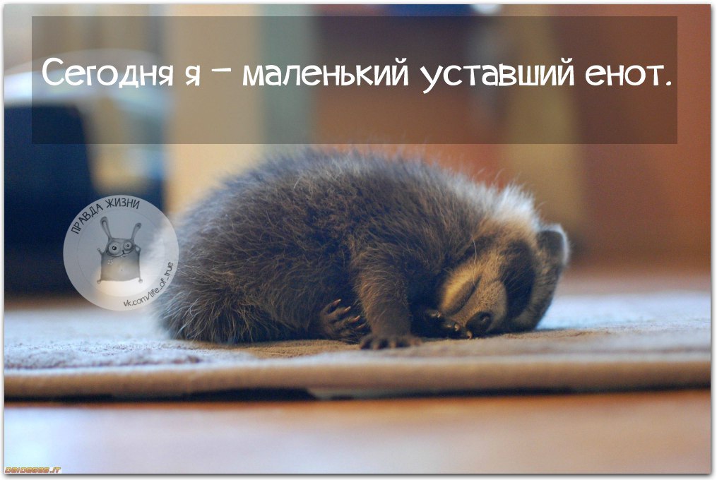   - 5  2016  11:17