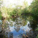 �������� �� ������� ���� �� ������� ������� 2016�