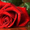 ���� N@taly, �������� - ��������� 23 ������� 2016 � ������ ���� ����������