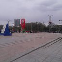 ���� ����, �����, 37 ��� - ��������� 1 ��� 2016 � ������ ���� ����������