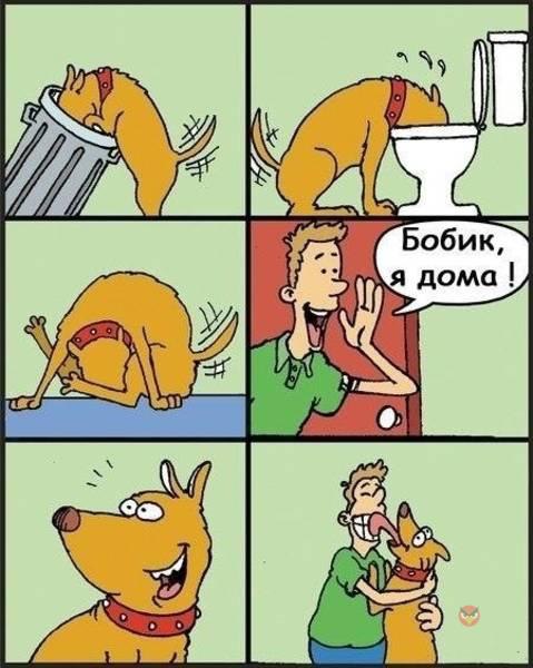   - 22  2016  20:07