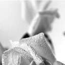 ���� ������, �����������-��-�����, 49 ��� - ��������� 9 �������� 2016 � ������ ���� ����������