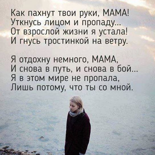   - 12  2016  17:06