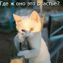  ,  -  28  2016    