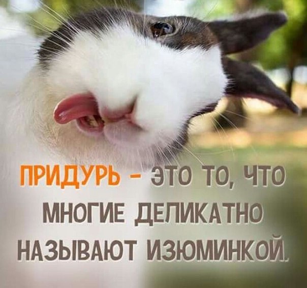  - 2  2016  22:39