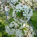  -   !,  -  12  2016     2016