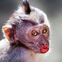 ���� ������, ����������� - ��������� 11 ������ 2016 � ������ ���� ����������