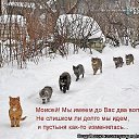 ���� ����, ��������, 49 ��� - ��������� 16 ����� 2016 � ������ ���� ����������