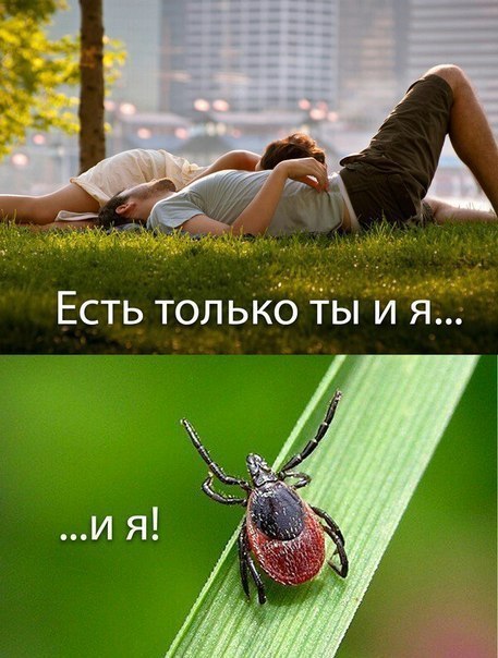    ! <a href=