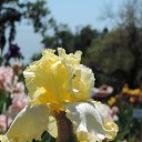  , , 60  -  16  2016    ,,18.05.16.