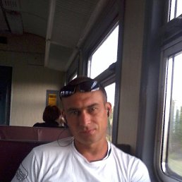 ���� ��������, ���������, 48 ��� - ��������� 31 ������� 2016