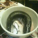  , -, 55  -  16  2016