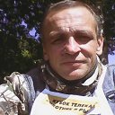  , -, 49  -  16  2016    