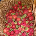���� Valery, �������, 79 ��� - ��������� 29 ���� 2016 � ������ ���� ����������