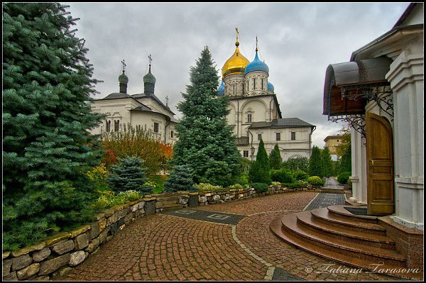 Новоспасский монастырь в Москве зимой