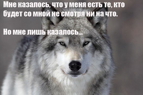  - 12  2016  09:59 - 2