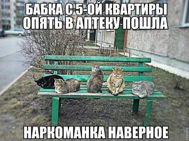    - 1  2016  22:17