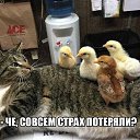  ,  , 63  -  12  2016    