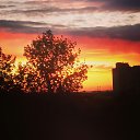 ���� �����, ������, 39 ��� - ��������� 7 �������� 2016 � ������ ���� ����������