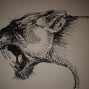 ���� �������, �������, 48 ��� - ��������� 12 ����� 2016 � ������ ���� ����������