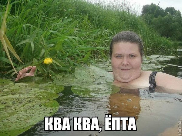   :D - 19  2016  02:34