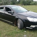 ���� ���, �����-���������, 45 ��� - ��������� 13 ���� 2016 � ������ ���� ����������