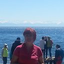 ���� ������, ������ ��������, 28 ��� - ��������� 26 ����� 2016 � ������ ���� ����������