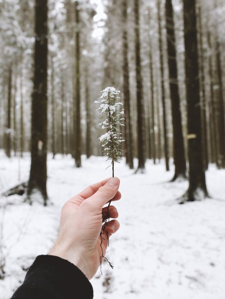 ������������ ���� ������ � ���� �� ����� ����������� ���� ��������. �� ��� ���������� ��������� ... - 6