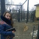 ���� ������, �������, 31 ��� - ��������� 25 ����� 2016 � ������ ���� ����������