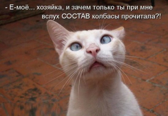 ***Victoria Viktorovna*** - 29  2016  15:13