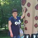  , --, 57  -  6  2016    