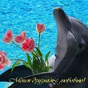 ���� ��������, �����, 53 ���� - ��������� 3 �������� 2016 � ������ ���� ����������