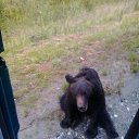 ���� ������, �������, 46 ��� - ��������� 26 ������� 2016 � ������ ������ɻ