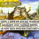  ,  -  10  2016    
