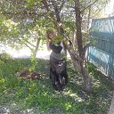  Marishka, , 41  -  28  2016    