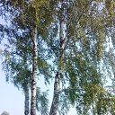 ���� Olga, ���� - ��������� 16 ���� 2016 � ������ ������ ������