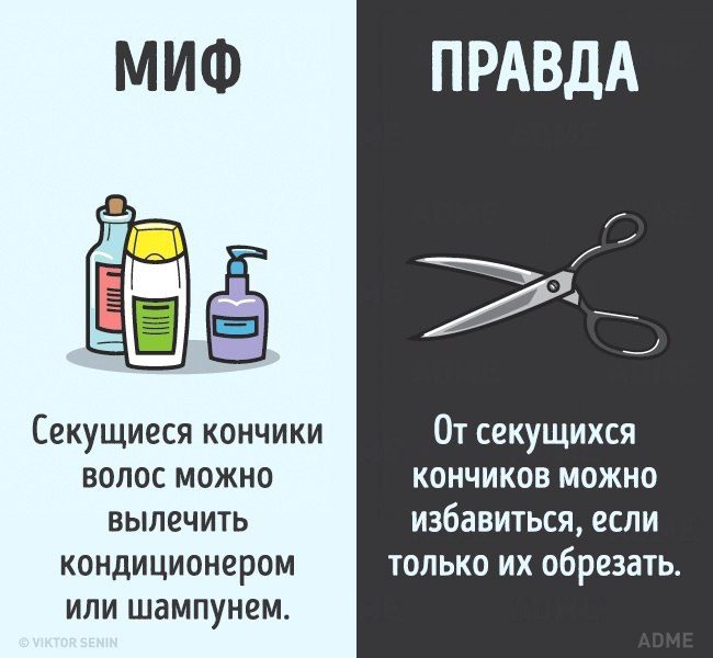 10    ,   . - 4