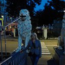 ����� �� ������� ���� ����������