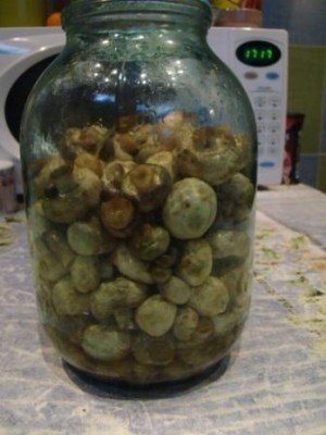 Мамины грибочки.Магазинными грибами уже не пользуемся моя мама так всю жизнь мариновала так грибы и ... - 5