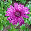  , , 60  -  6  2016   ,04.-06.06.16.