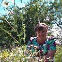 ���� �������, ����������� - ��������� 9 ���� 2016