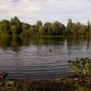 ���� ������, ��� - ��������� 10 ������� 2016 � ������ ���� ����������