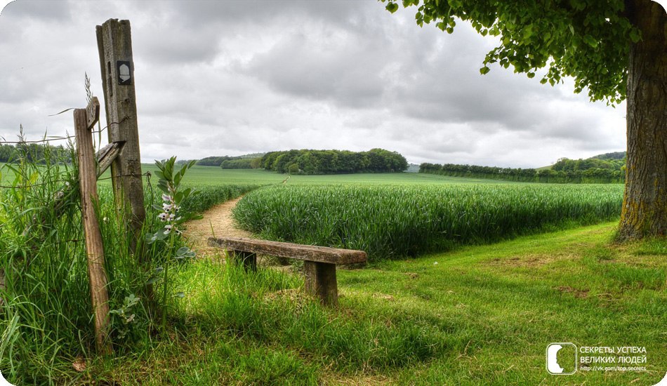   ,      .  : ,    ,  ...