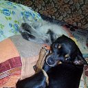 ���� �������, ���������, 56 ��� - ��������� 6 ���� 2016 � ������ ���� ����������