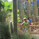 ������� ����� �������� ��� �������� �� ������� �������� 2016 ���