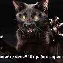 ���� // I., ����� - ��������� 11 ������� 2016 � ������ ���� ����������