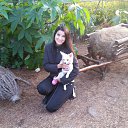 ���� �����, �����������, 45 ��� - ��������� 31 ����� 2016 � ������ ���� ����������