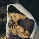 ���� ������, ��������, 44 ���� - ��������� 25 ��� 2016 � ������ ���� ����������