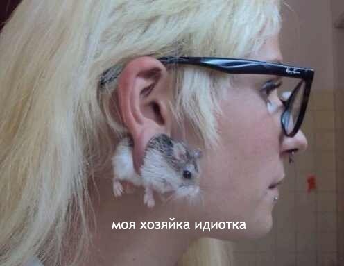 :)   ))))